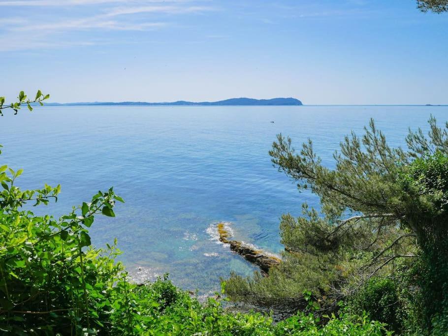 Maisonnette Avec Vue Sur La Mer Exceptionnelle Carqueiranne Zewnętrze zdjęcie