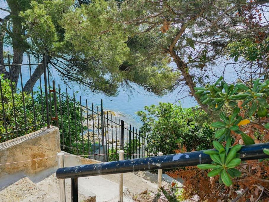 Maisonnette Avec Vue Sur La Mer Exceptionnelle Carqueiranne Zewnętrze zdjęcie