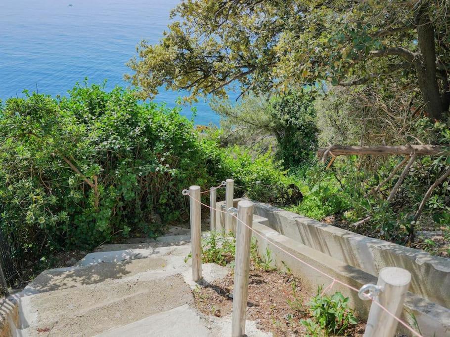 Maisonnette Avec Vue Sur La Mer Exceptionnelle Carqueiranne Zewnętrze zdjęcie